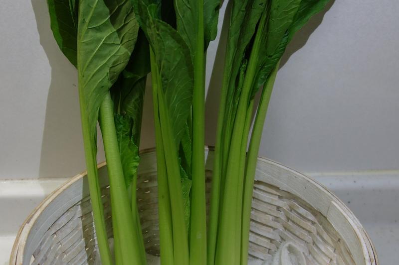 Komatsuna is a fast-growing Japanese mustard spinach with glossy, dark green leaves and tender stems that can be harvested at any stage from baby