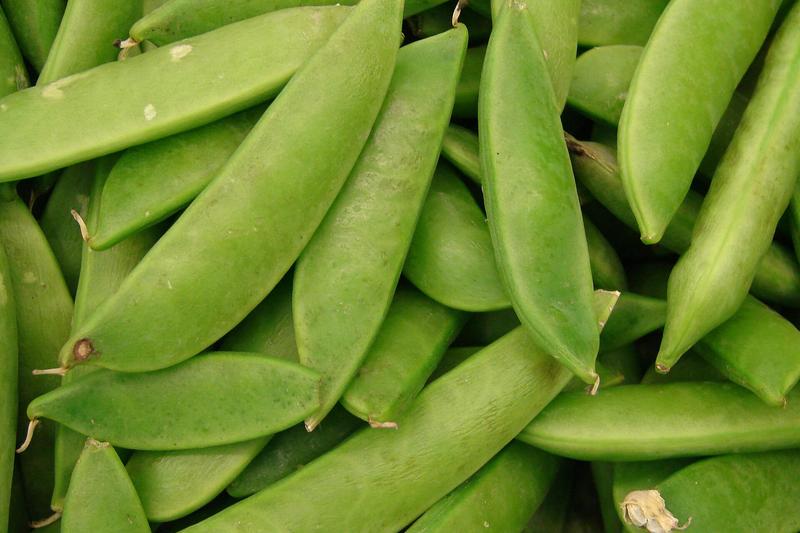 Mangetout (Pisum sativum var. saccharatum): The delicate white or purple flowers are followed by crisp, bright green pods that are perfect for