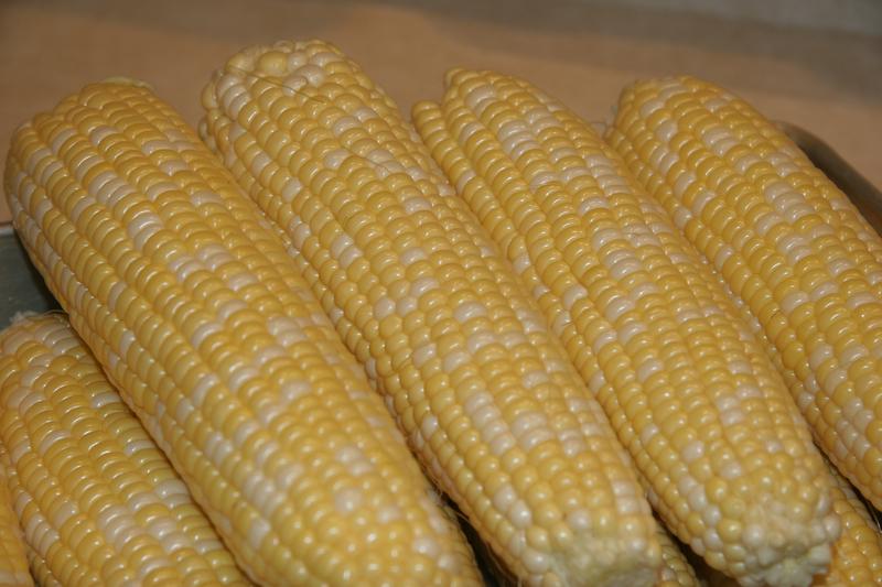Sweetcorn is a tall, annual cereal crop native to Central America, grown in the UK for its sweet, tender kernels harvested in late summer